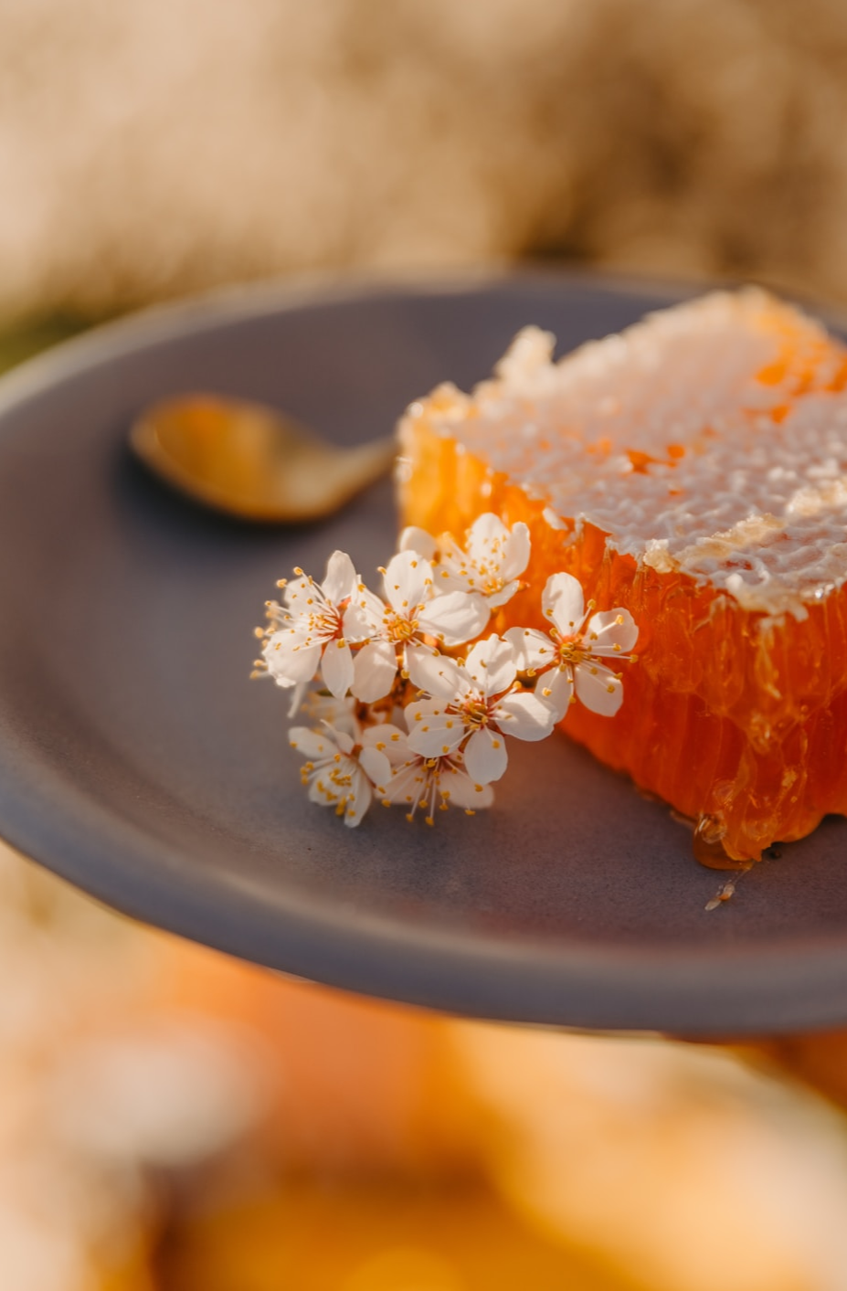 Şan balı bankaları kiçik görüntü